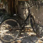 Aldea Ja